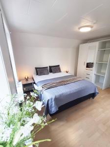 Cozy 1 bedroom apartment A