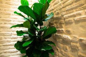 Legado Magdalena Hotel