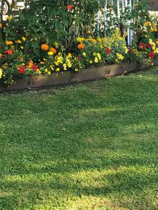 Appartements PARIS et CDG : photos des chambres