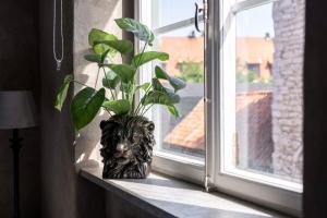 Cozy studio for 4 people at Stora torget