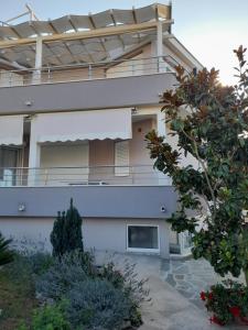 Apartmani Seka 1 