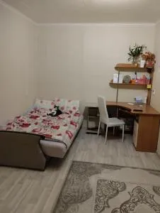 1комнатная квартира - Lohusuu