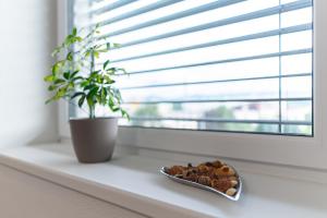 Tower Apartments Orchid & Amber