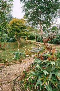 Eucaliptus Spa Resort