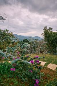 Eucaliptus Spa Resort