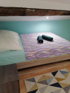 Appartements Chez Gabin & Elsie : photos des chambres