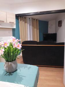 Appartements Chez Gabin & Elsie : photos des chambres