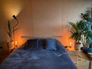 Riverfront Cabins in the garden