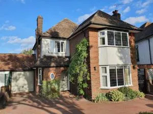 Spacious family house-amazing garden&opposite park - New Southgate