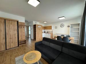 Vip Apartament Wieniawskiego