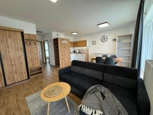 Vip Apartament Wieniawskiego