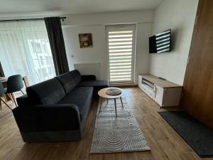 Vip Apartament Wieniawskiego