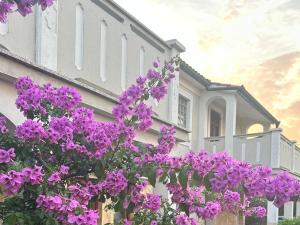 Apartments Kalsan 
