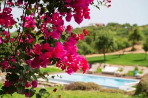 North Sardinia Retreats Stazzo Liccia Barria - villa con piscina