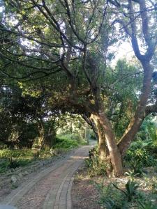 The Nest at Au Petit Paradis