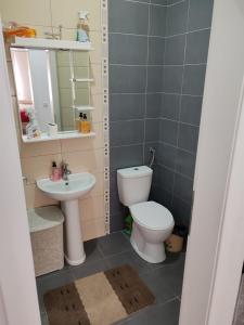 Apartman Sofija