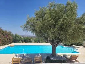 TopHill Gardens House - Shared Pool - Jacuzzi - 24hrs check in - 10m from Airport - 科洛皮奥