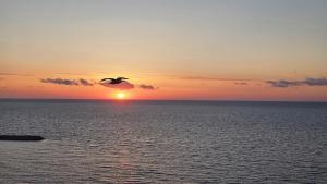 Starshine Spectrum Residence