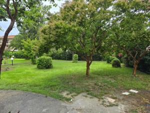 Garden Haven 100m from the Sea