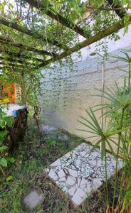 Casa ampla e muito arborizada!