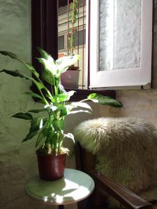 White Brick Studio San Telmo