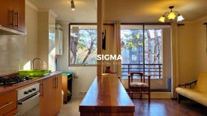 Depto 2D2B con piscina y naturaleza en Pucón