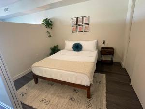 Downtown Zen Bliss