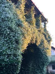 Appartamento Il Gelsomino