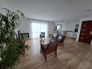 Ventanas de la Patagonia