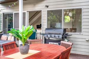 Paperbarks by the beach