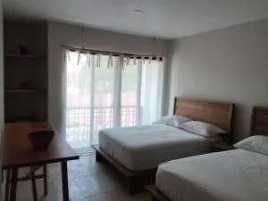 mono 205 - Santa Lucía