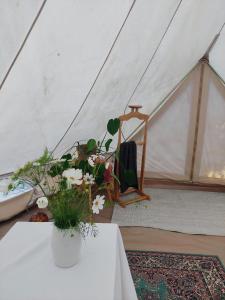 Glamping Belltent in Salacgriva