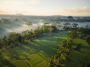 Ubud Mas Glamping Luxury Tent