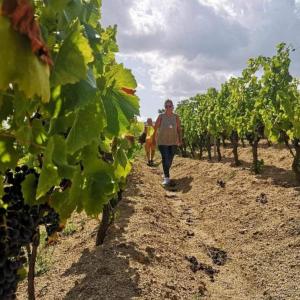 La tappa del vignaiolo B&B img21