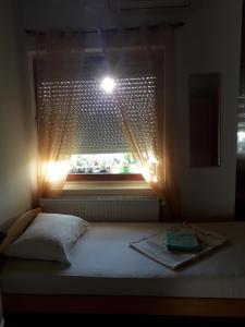 VILA NATALIJA APARTMANI - Apartmány, Apatin