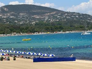 Port Grimaud le Grand Pin