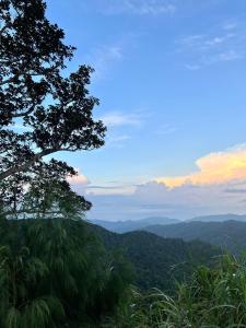 Ocean and Mountain Breeze Camp Resort