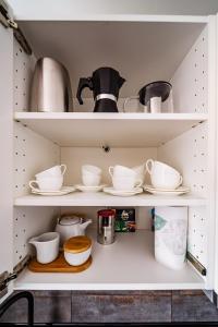 Urban Oasis Apartments