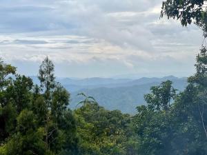 Pine and Fern Resthouse