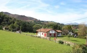 Karrikaburia - Hosta