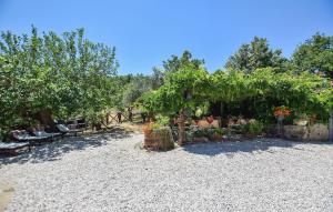 Pet Friendly Home In Laureana Cilento