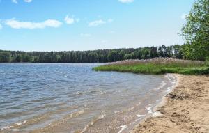 Pet Friendly Home In Spore