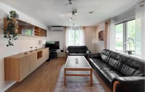 Awesome Home In Vittsjö With Wifi