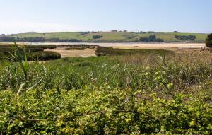 Gorgeous Home In Miengo With Wifi