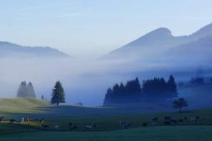 Appartement serein et spacieux