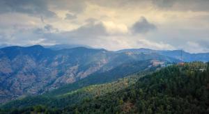 TreeHouse Chail Villas