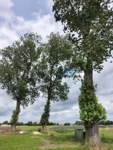 vakantiehuis kruisvennenhoeve