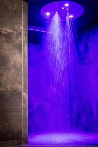 Hôtel SPA du Lac de Madine - Maison DRAPIER