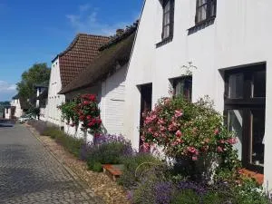 Fischerstern - Maasholm