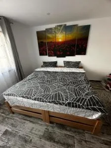 Hidden Room - Sîntimbru-Băi